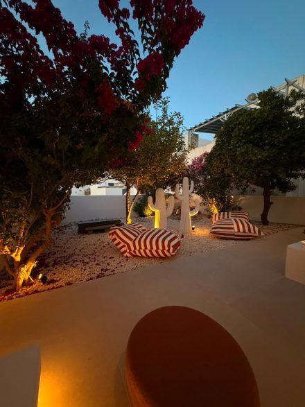 The planted garden lit at night, sculpted cacti and a low table